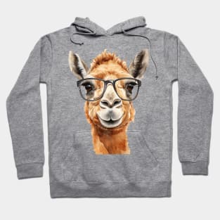 Cute camel with glasses Hoodie